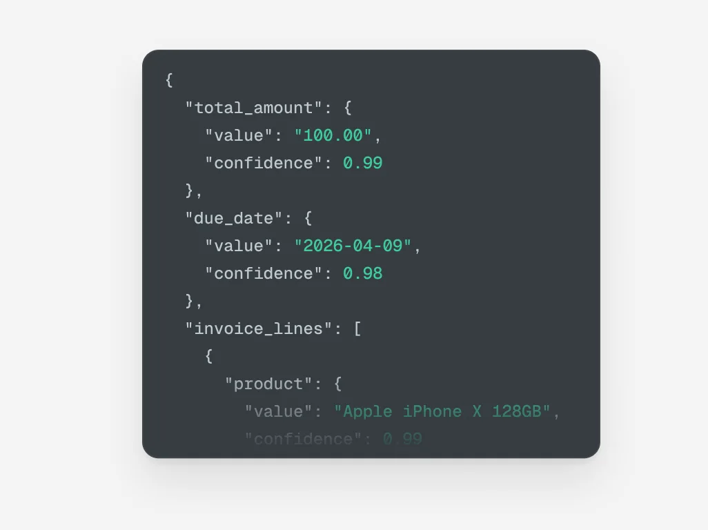 Structured JSON output generated from document data